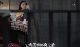 小汪姐姐爆料视频全集,揭秘娱乐圈不为人知的秘密