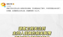 吃瓜娱乐圈检查组,娱乐圈“吃瓜”检查组行动纪实